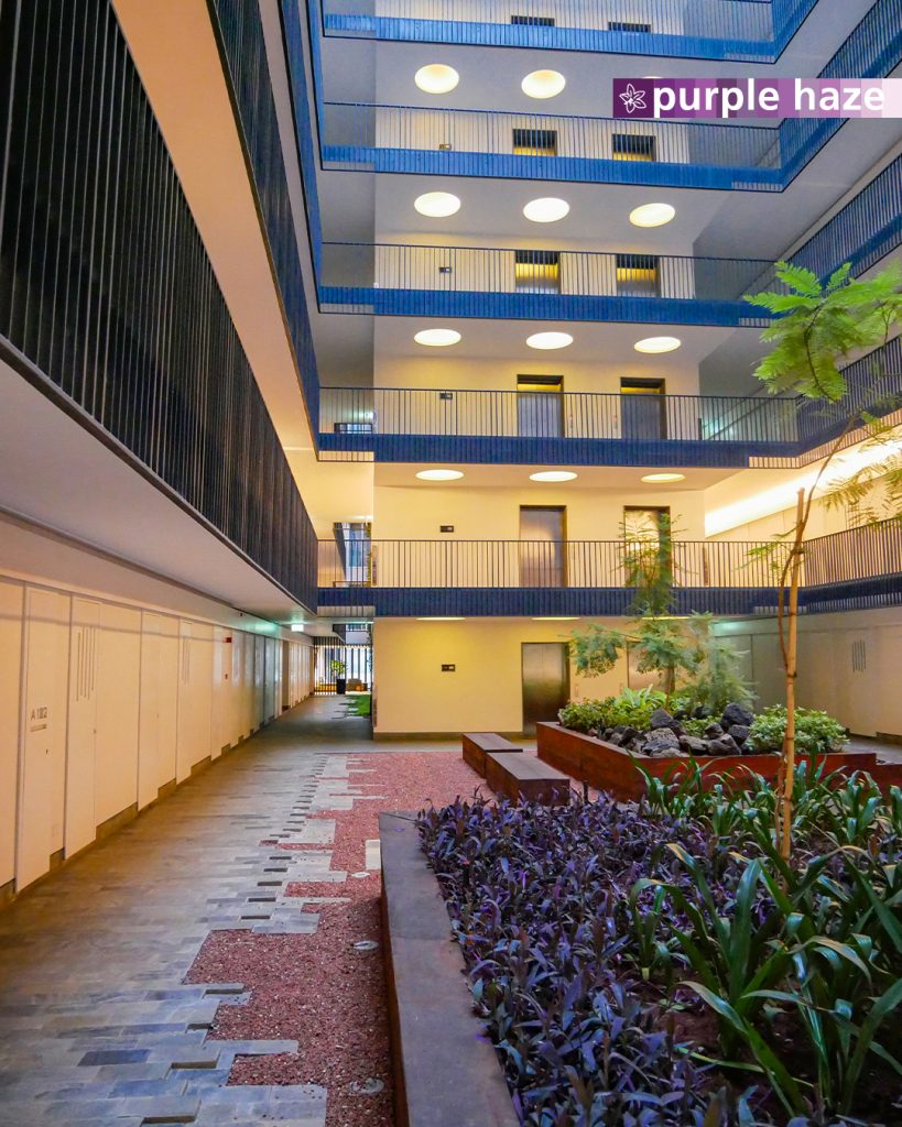 award winning apartments social media digital content photography videos copywriting creative direction